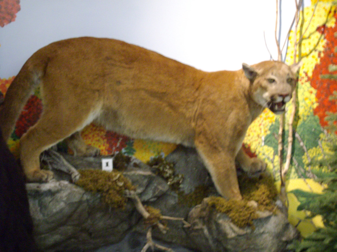 Nampa and District Museum-Nampa必去景点