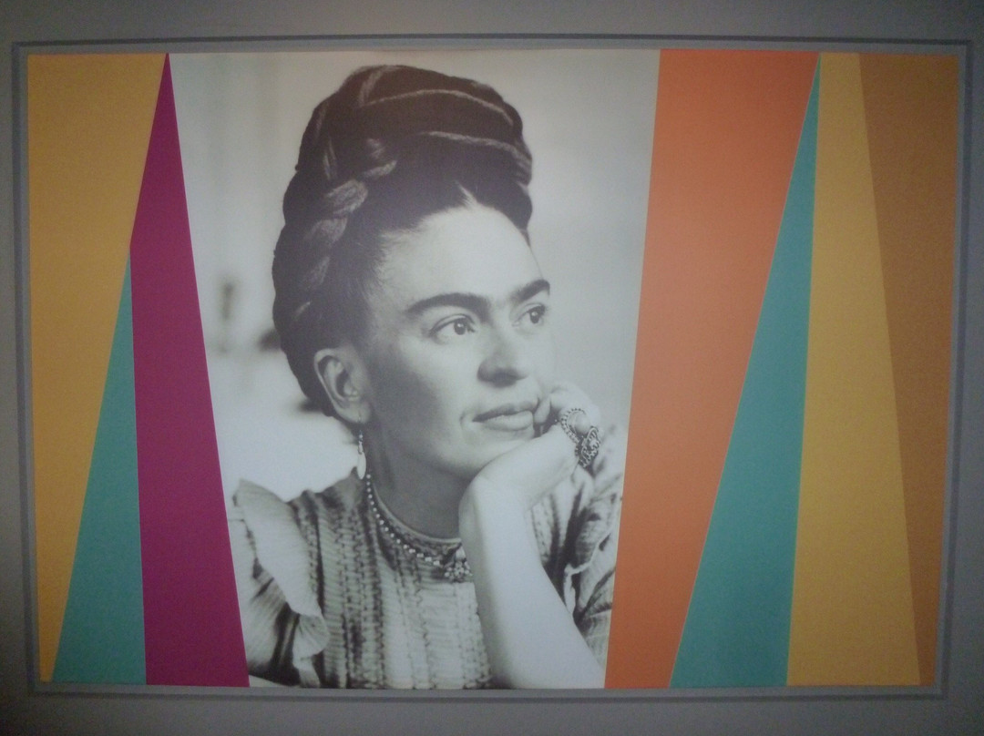 Museo Frida Kahlo景点图片