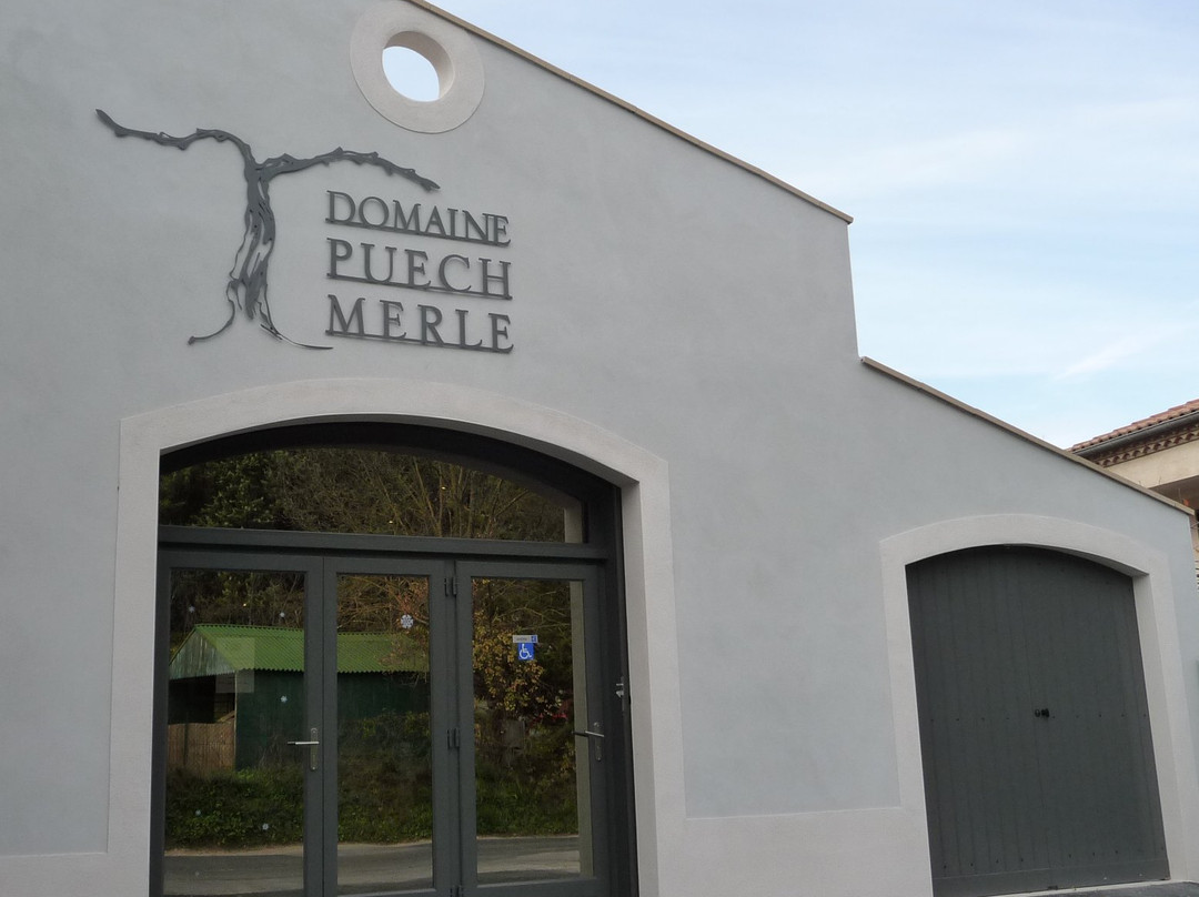 Domaine Puech Merle景点图片