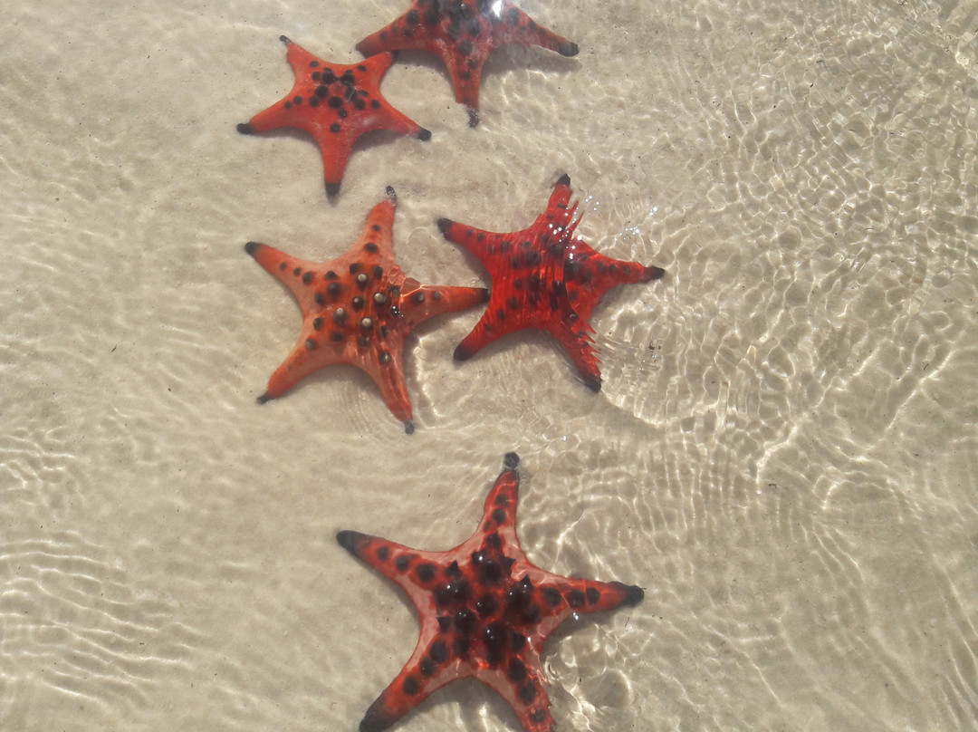 Floating Village Rach Vem-扬东必去景点