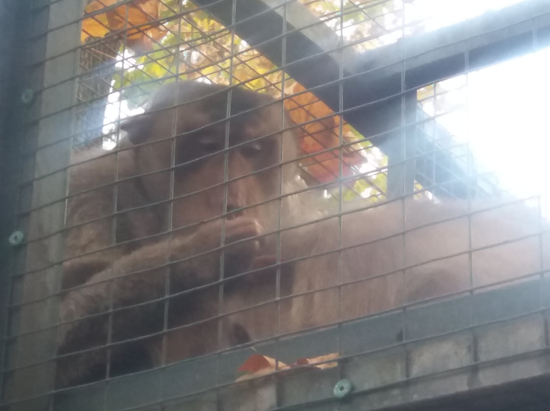 Tierpark-威滕伯格必去景点
