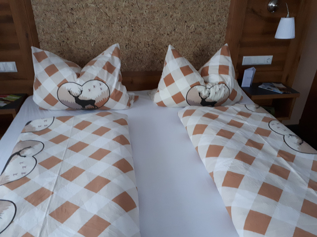 Pension Schuasterhof主图