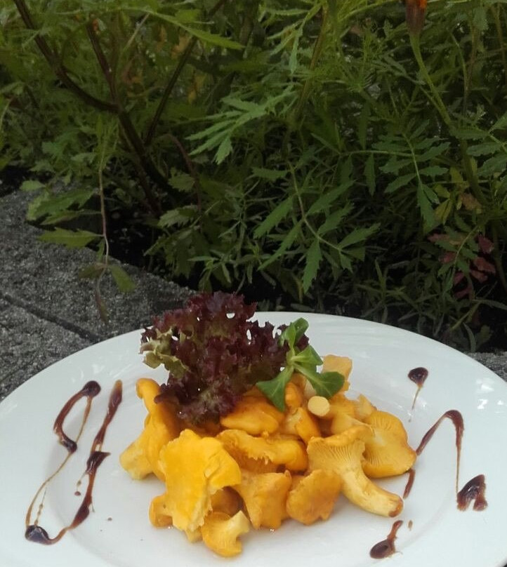 Dolomitenhotel主图