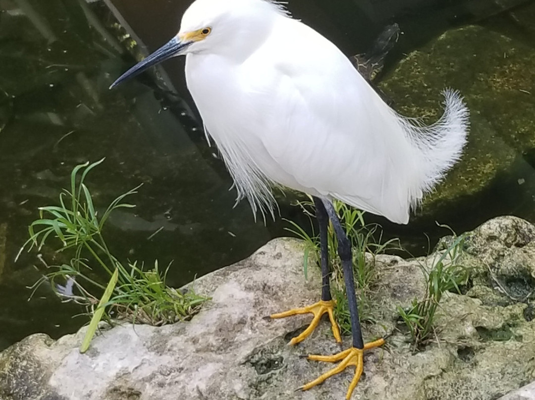 Iberostar Waves Tucán主图