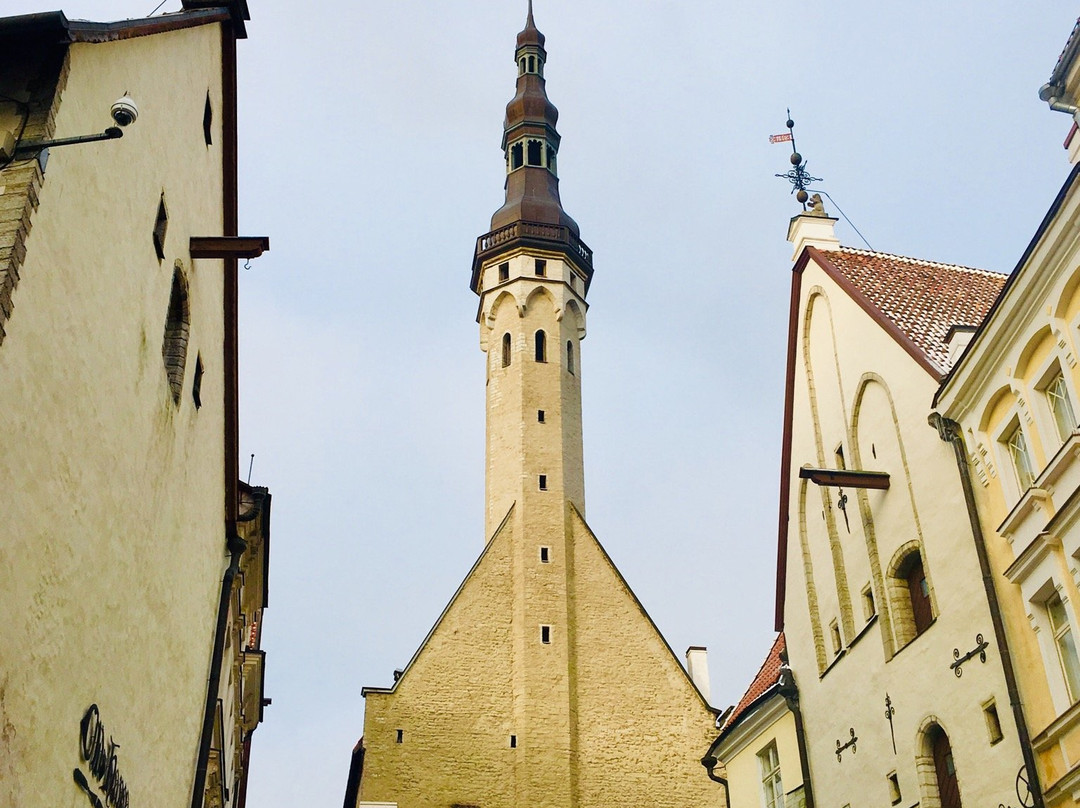 Discover Estonia-塔林必去景点