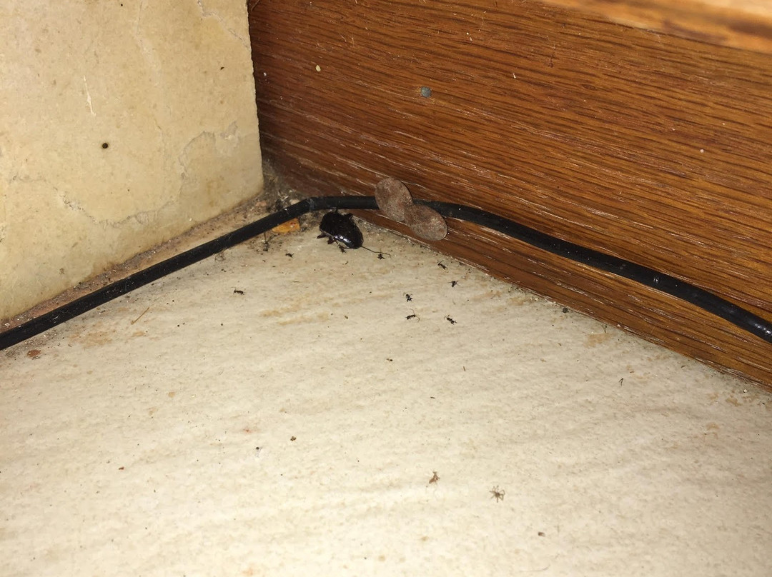 Paradise Cove Resort主图