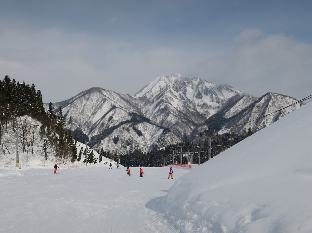 Naspa Ski Garden景点图片