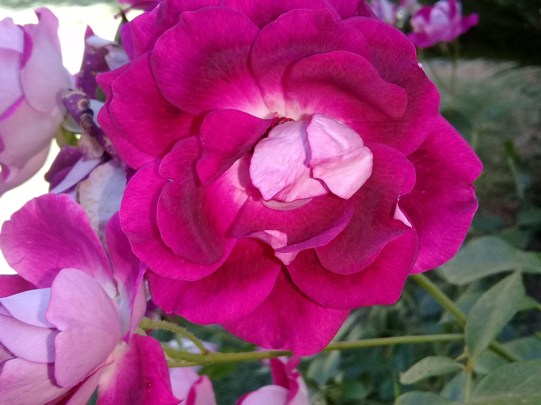 Inn Excellence主图