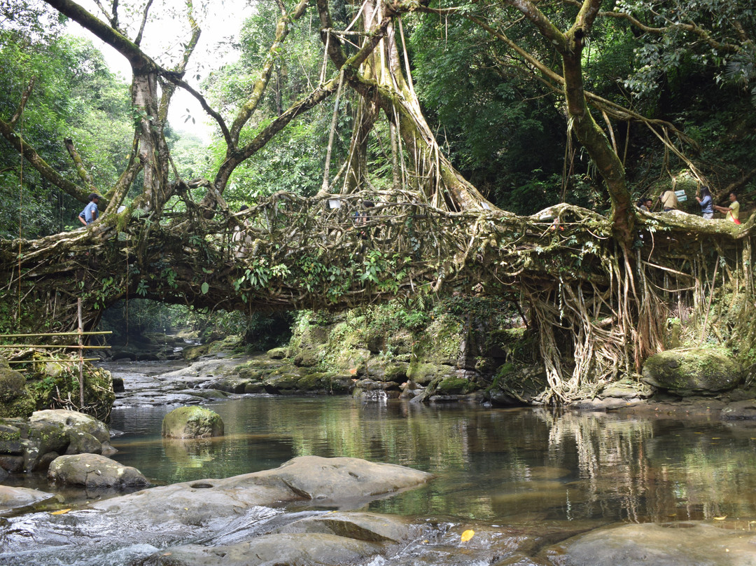 Seven Sisters Holidays