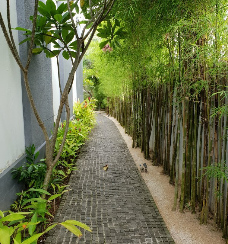 乌玛琴琴别墅主图