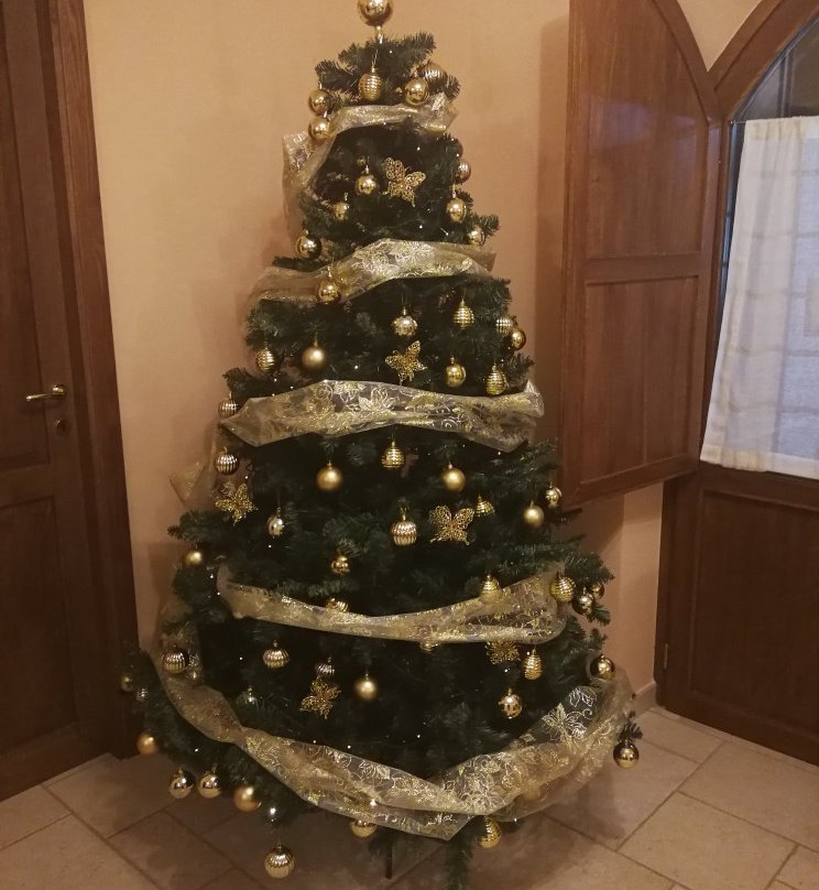 B&B Casale Frezzini主图