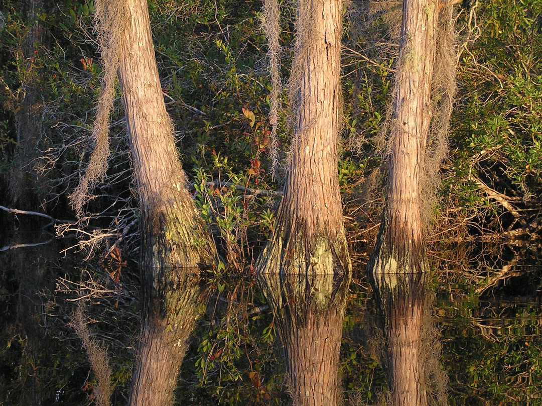 Suwanee Canal Recreation Area-Folkston必去景点