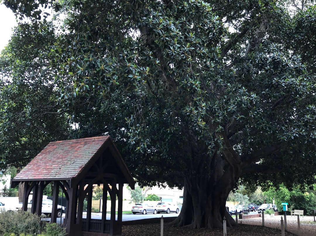 Trinity Uniting Church, Brighton-布莱顿必去景点
