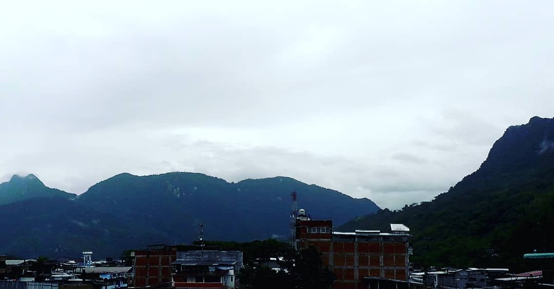 Hotel Natural Green Lounge主图