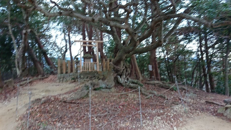 Okuyama Ameyama Nature Park-熊取町必去景点