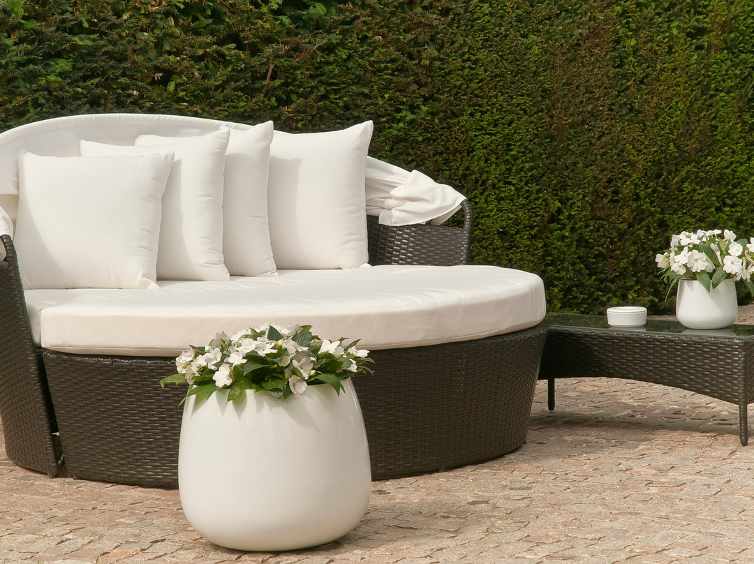 B&B Colombe Blanche主图