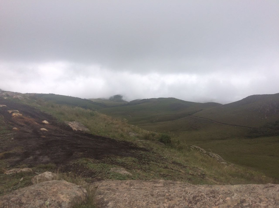Campos do Quiriri景点图片