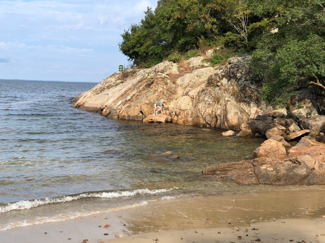 Plum Cove Beach景点图片