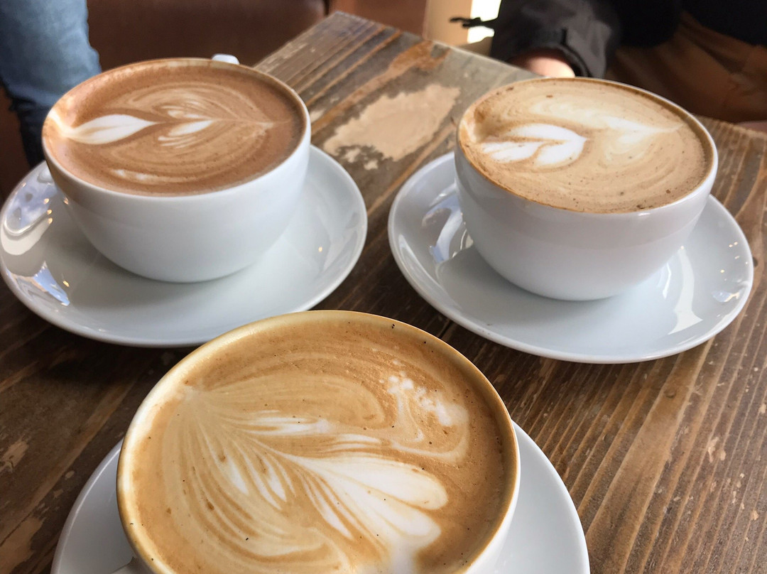 Twenty Below Coffee Co