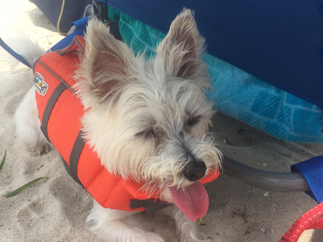 Gardiner County Park-Bay Shore必去景点