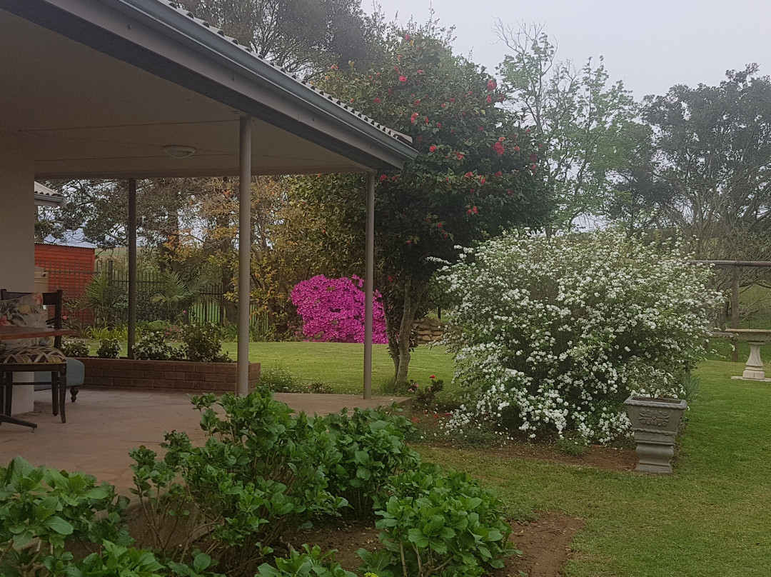 Lalani Bed & Breakfast主图