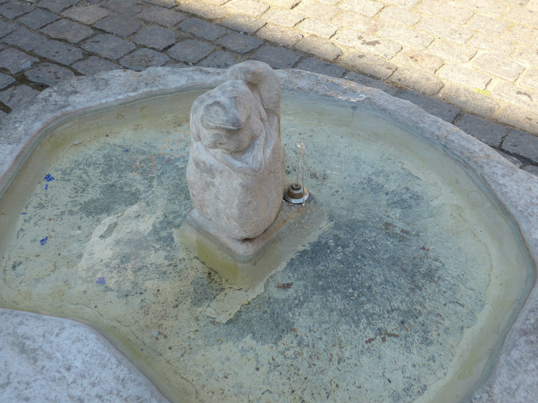 The Toad-欧登塞必去景点