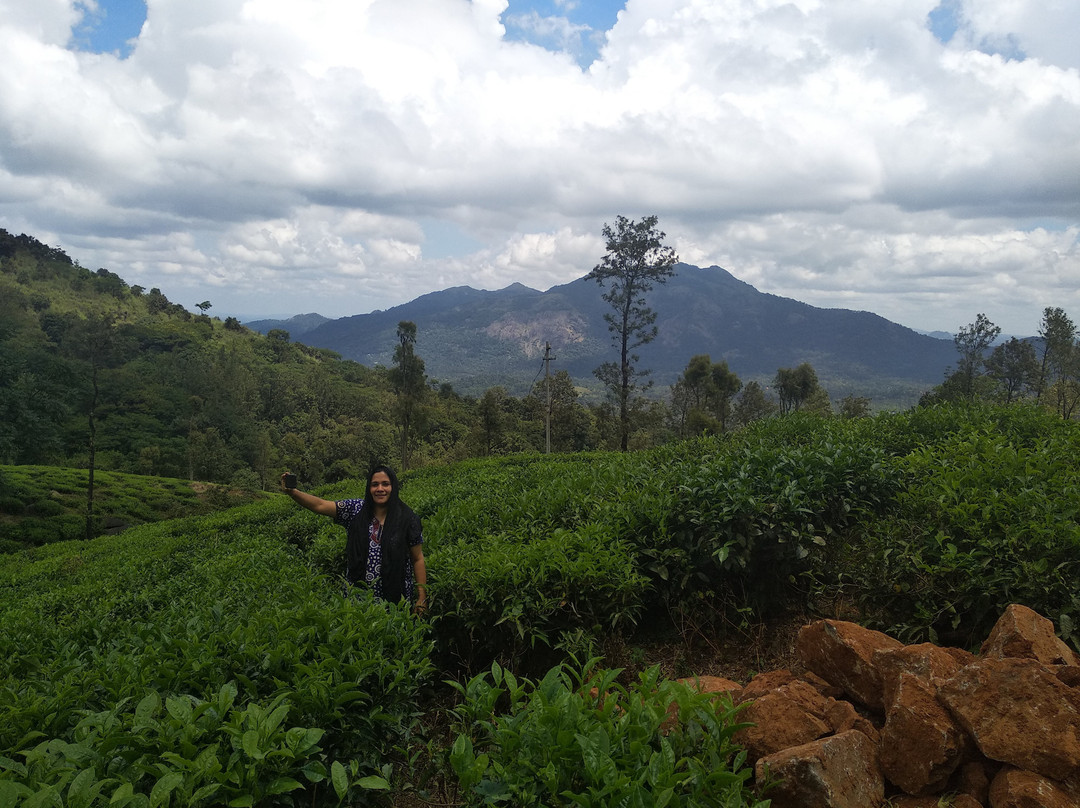 Coffea Aroma Resort - Wayanad主图