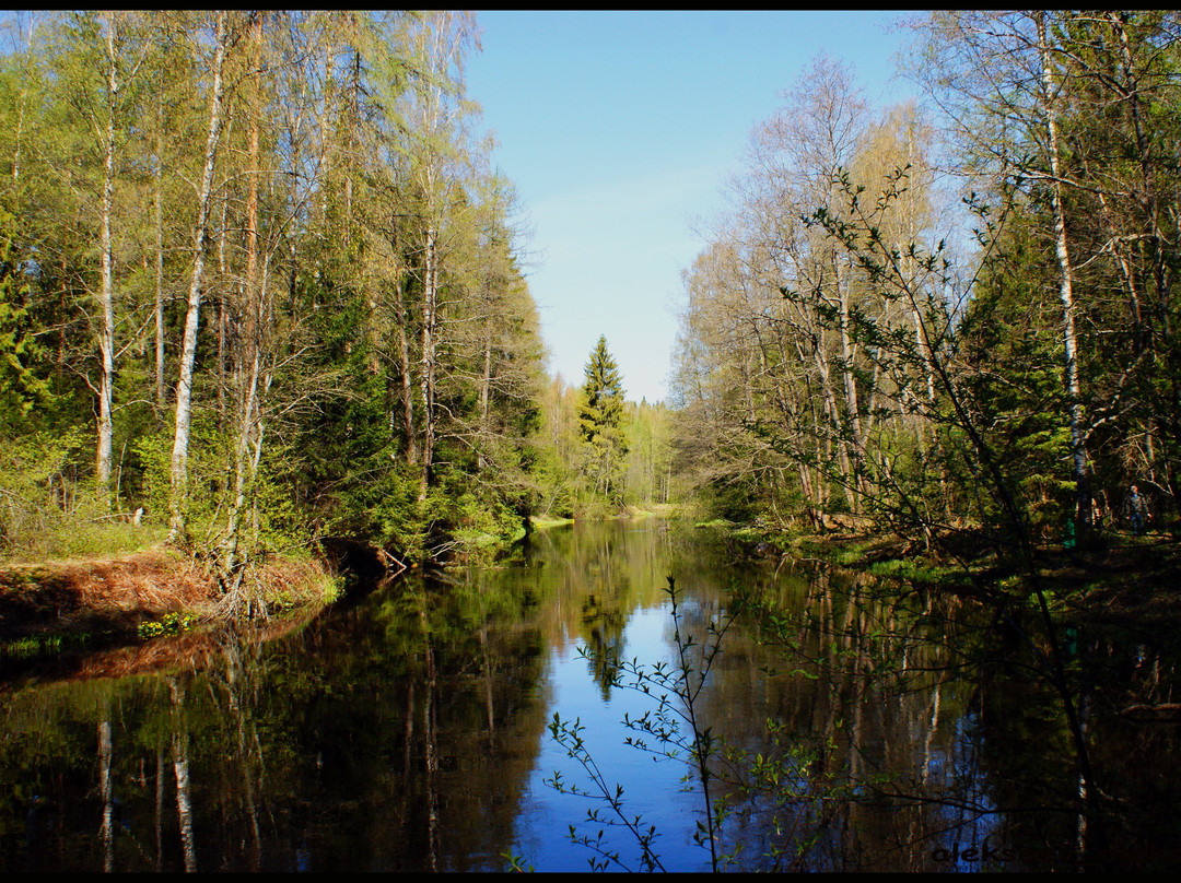 Lindulovskaya Grove景点图片