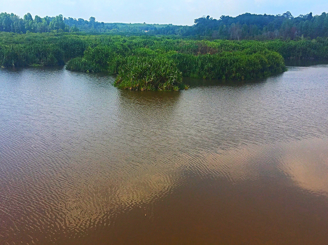 Tasek Bera-而连突必去景点
