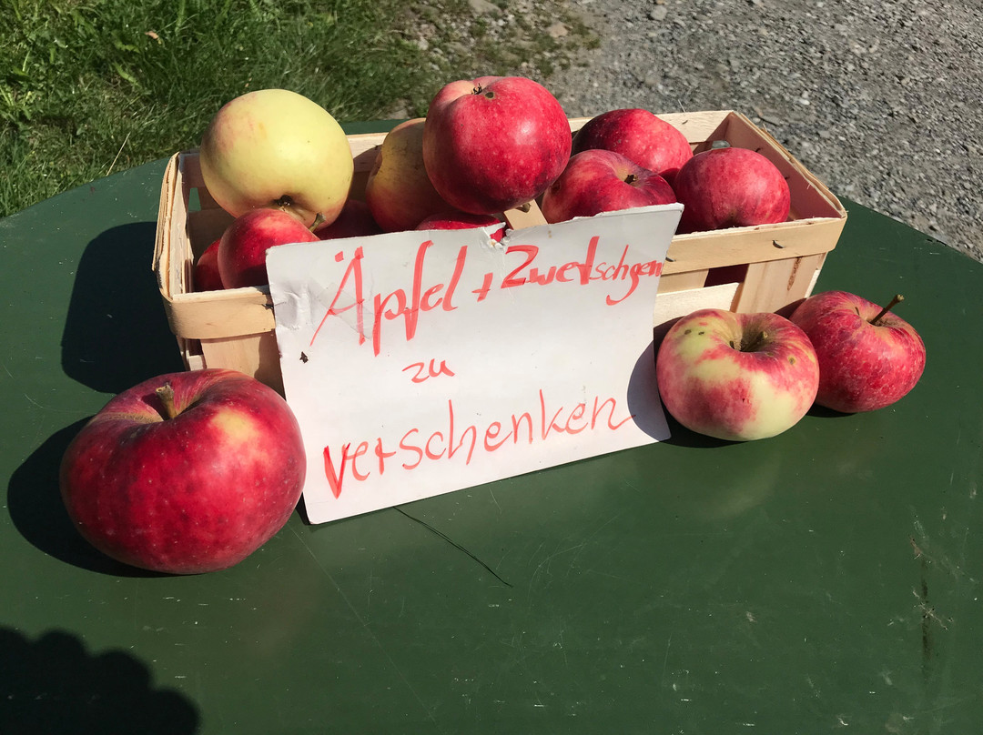 Das Johannesbad Hotel主图