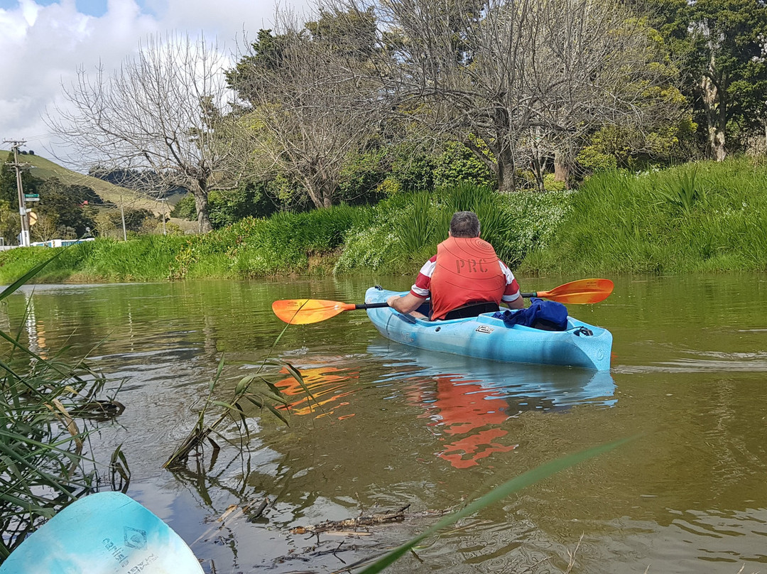 Puhoi River Kayak Hire Ltd Kayak Trips景点图片