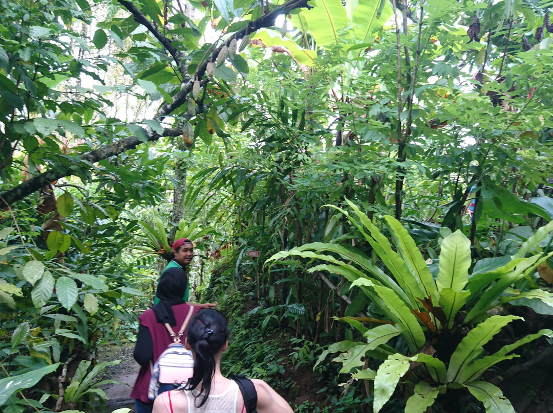 One Bali Agrowisata-Beraban必去景点