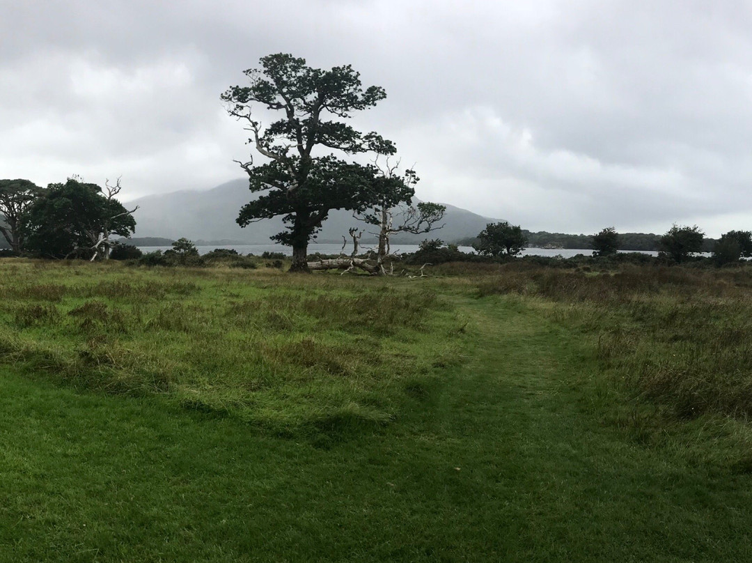 Killarney Bike Rental-基拉尼必去景点