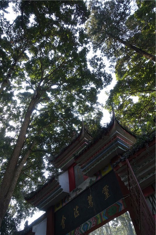 云峰寺-雅安市必去景点