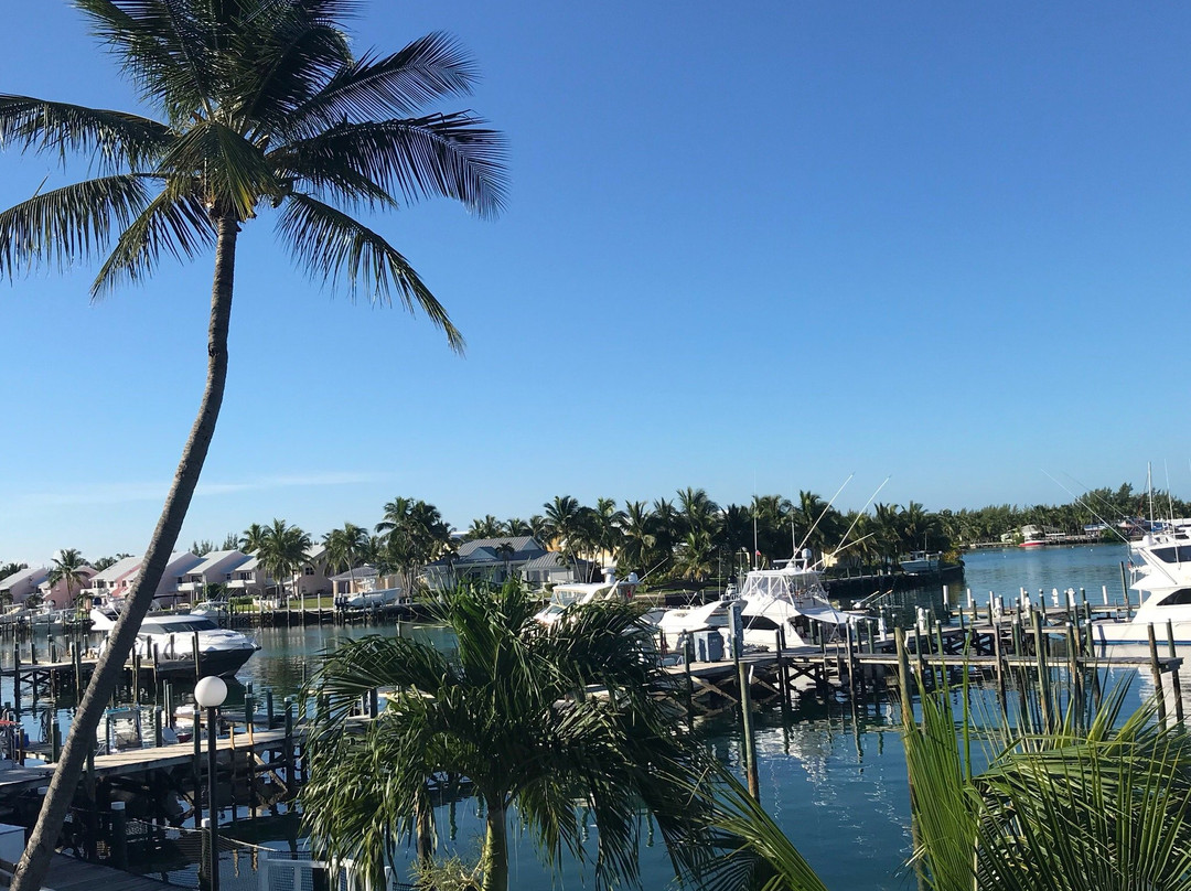 Treasure Cay Boat Rentals景点图片
