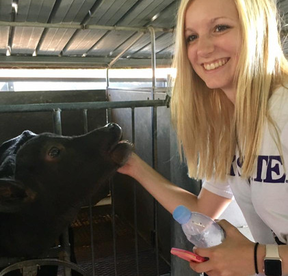 LT GROUP Tour and Transfer Services-阿格罗波利必去景点