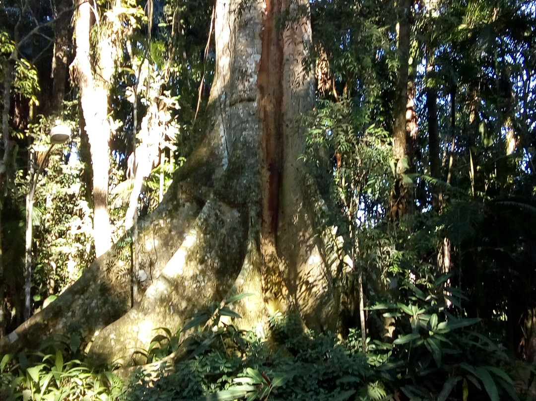 Henry Paul Park-Timbo必去景点