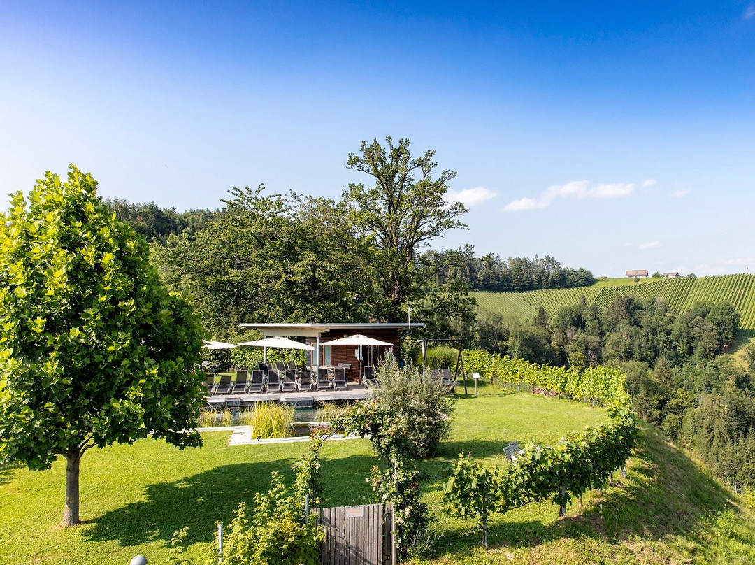 洛伊查赫酒店住宿-Kollerhof Weinbau Lieleg