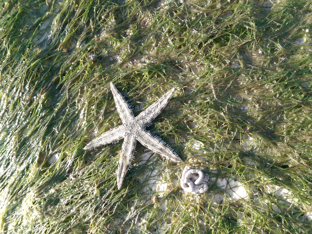 菲律宾落日逸景度假村酒店主图