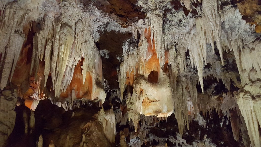 Cuevas del Águila景点图片