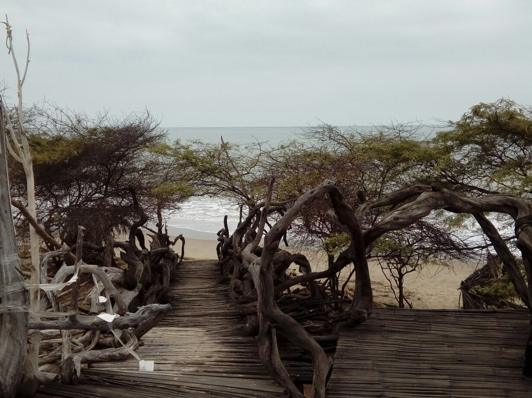 Hostal Grillo Tres Puntas主图