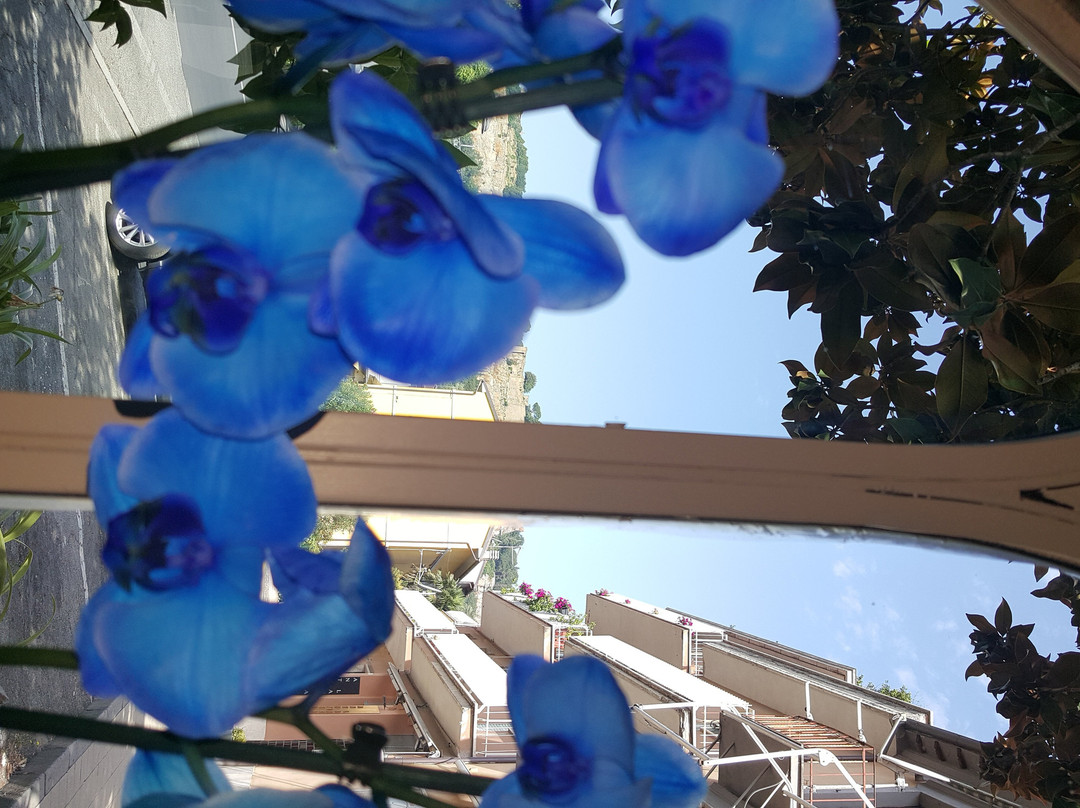 Hotel Umbria Ristorante - Orvieto主图