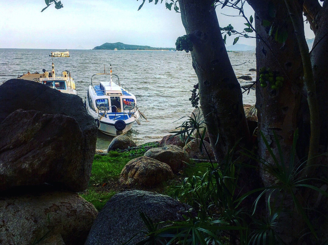 Seals Show-芽庄必去景点