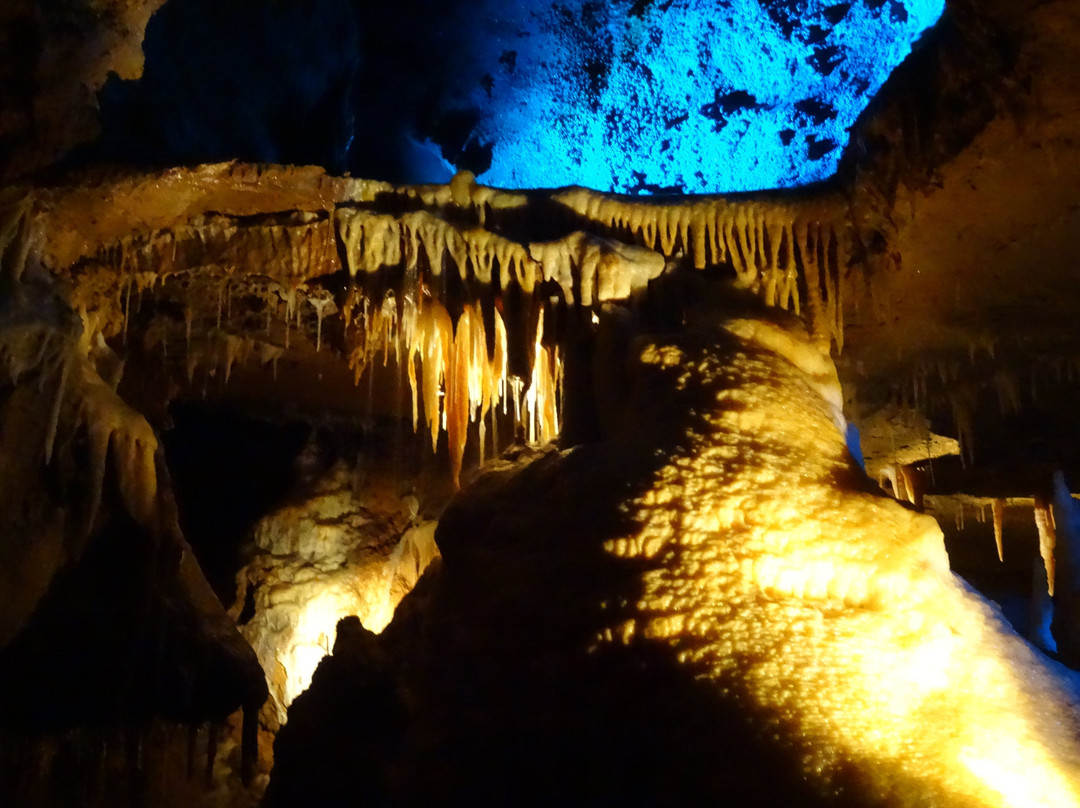 Grotte de Tourtoirac景点图片