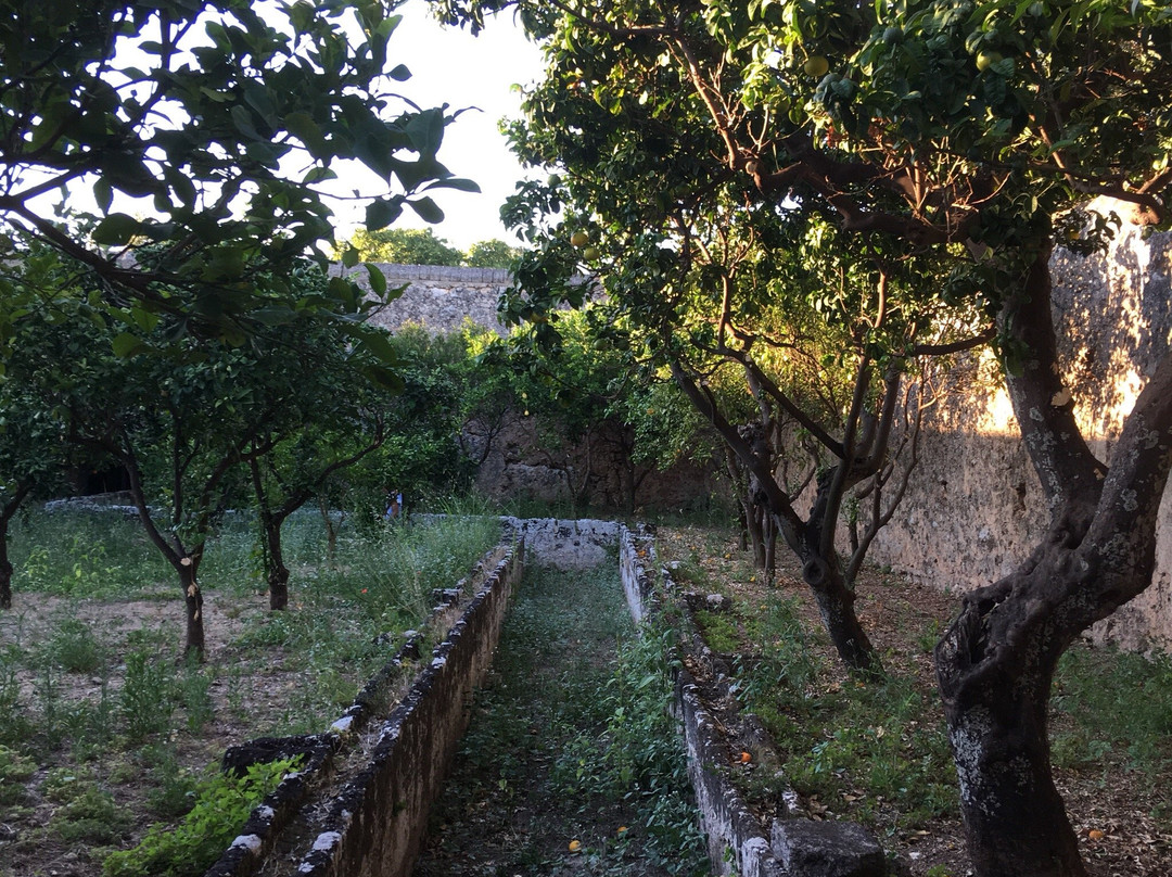 Montalbano旅游攻略图片