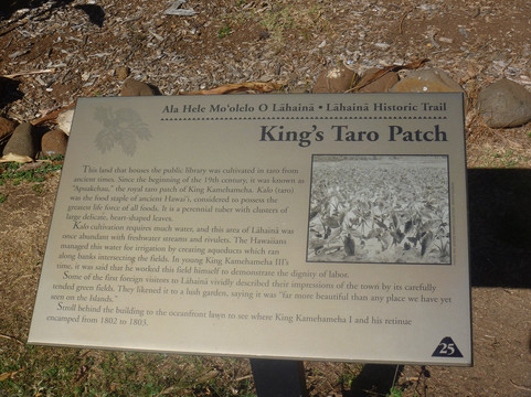 The King's Taro Patch-拉海纳必去景点