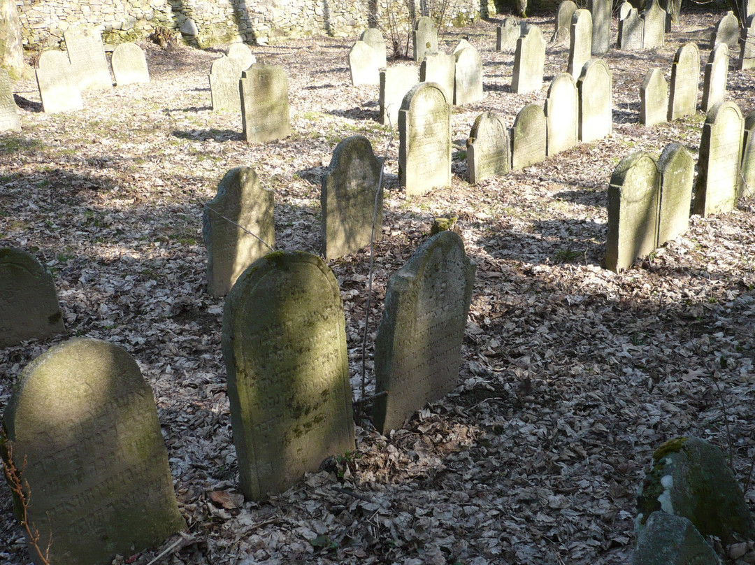 Cernovice Jewish Cemetery景点图片