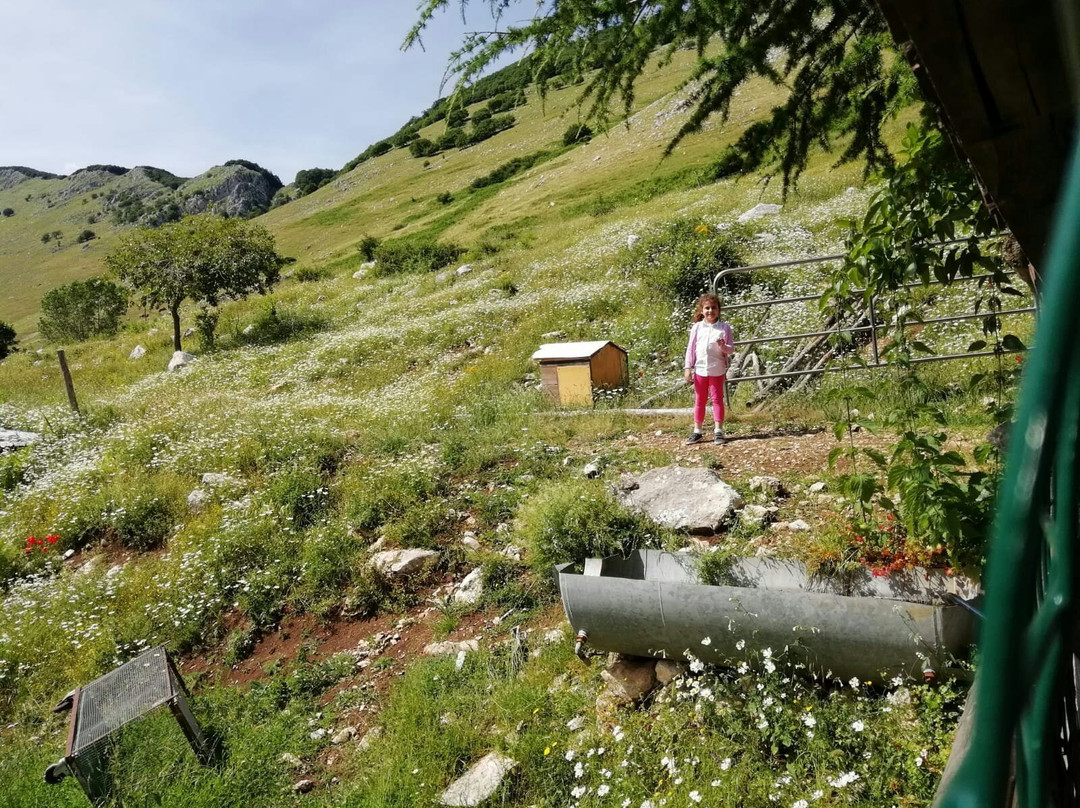 Matese Country Ranch景点图片