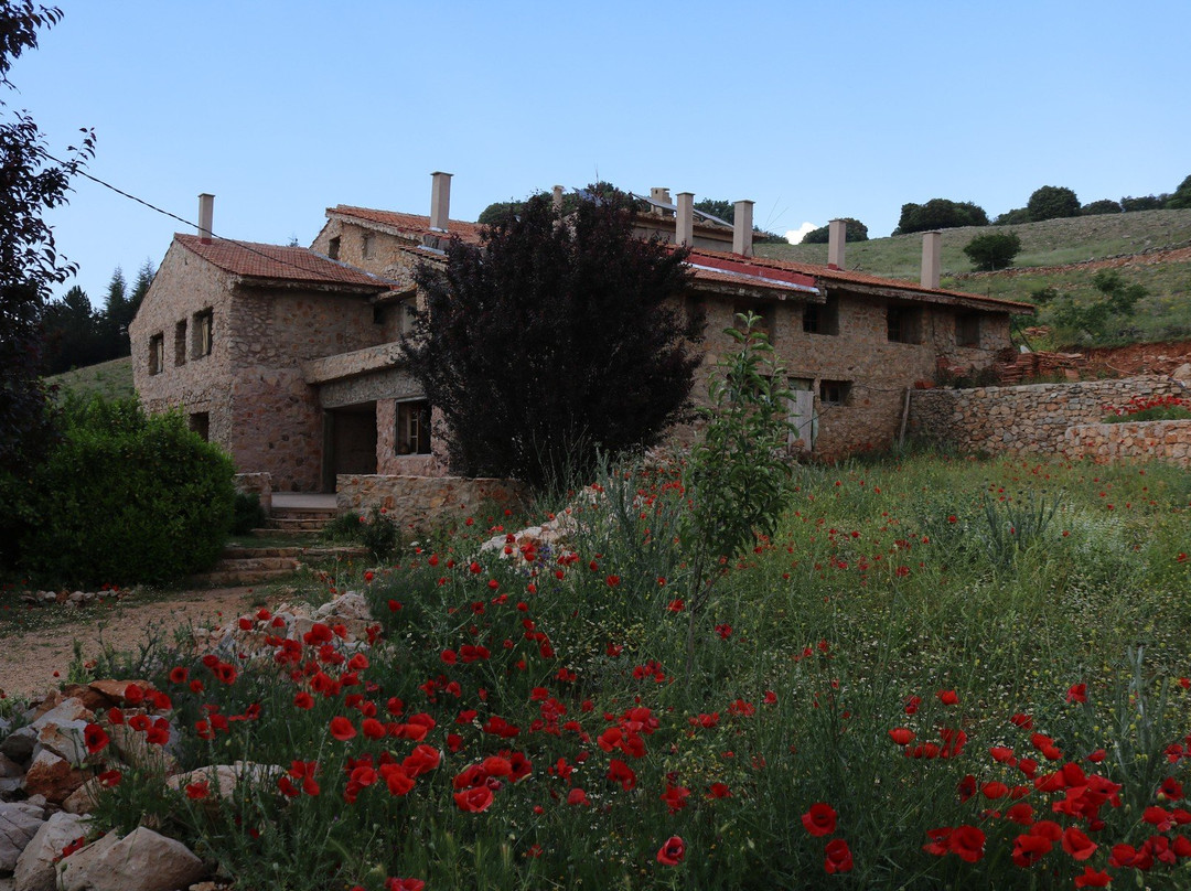 Gite Ras El Ma主图