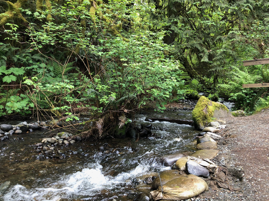 Flaming Geyser State Park景点图片